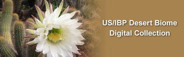 US/IBP Desert Biome Digital Collection