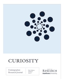 Curiosity Cover