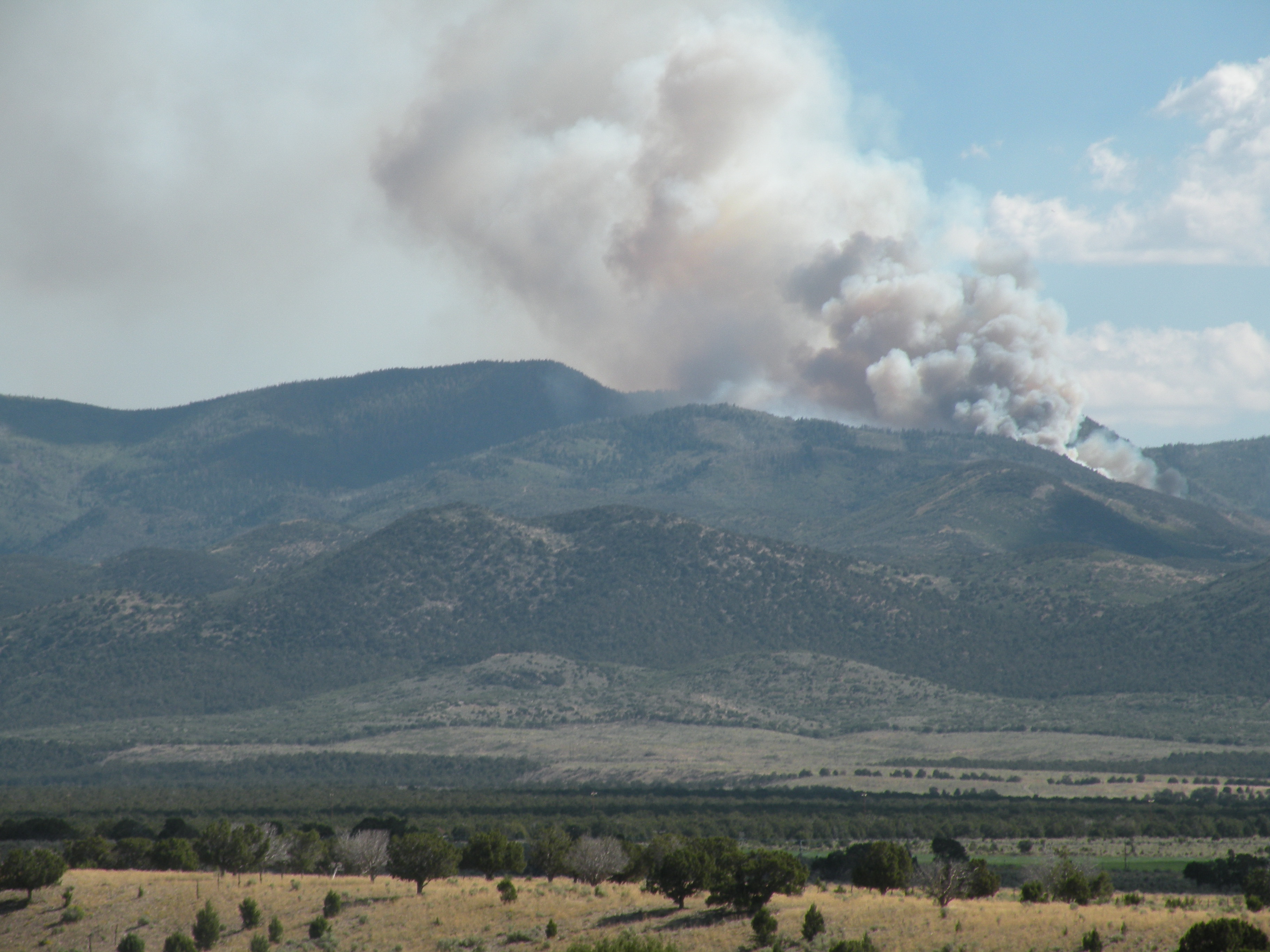 Disturbance Ecology Bibliography Quinney Natural Resources Research 