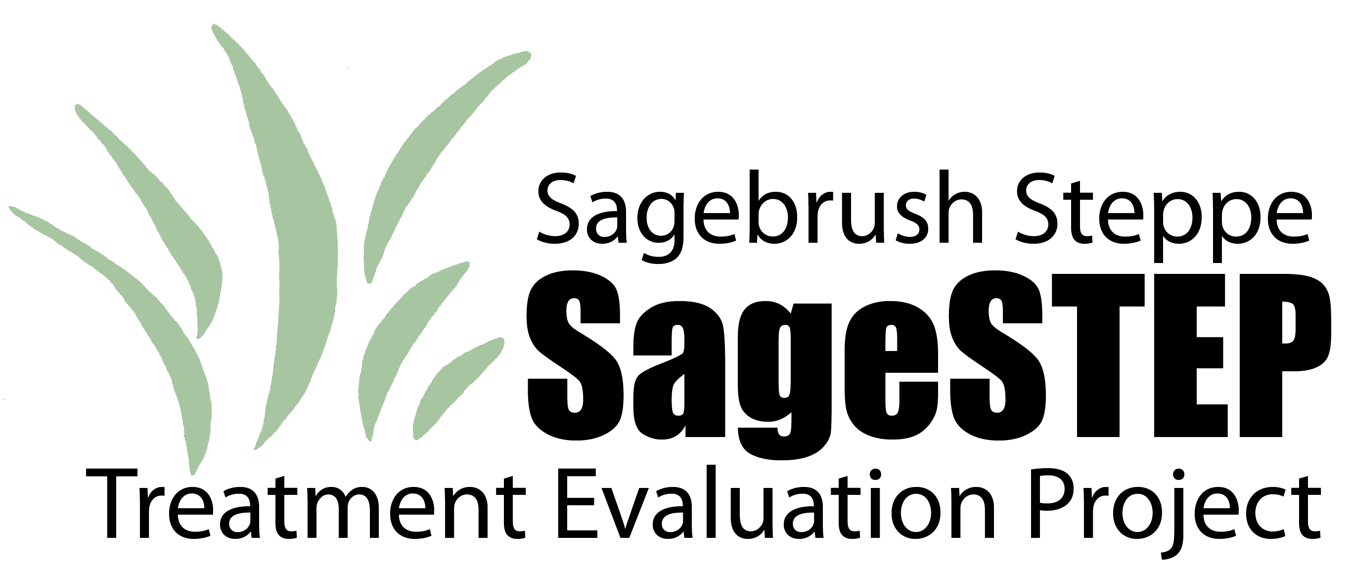 SageSTEP Logo