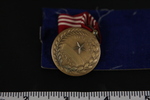 Medal for Good Conduct by Bringing War Home