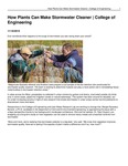 How Plants Can Make Stormwater Cleaner | College of Engineering by USU College of Engineering