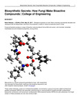Biosynthetic Secrets: How Fungi Make Bioactive Compounds | College of Engineering
