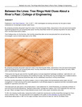 Between the Lines: Tree Rings Hold Clues About a River’s Past | College of Engineering