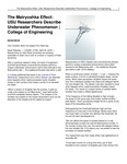 The Matryoshka Effect: USU Researchers Describe Underwater Phenomenon | College of Engineering by USU College of Engineering
