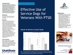 Effective Use of Service Dogs for Veterans with PTSD