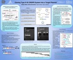 Cloning Type IV-B CRISPR System into a Plasmid by Olivia Gornichec and Kailey Welch
