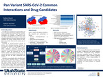 Pan Variant SARS-CoV-2 Common Interactions and Drug Candidates