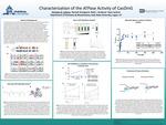 Characterization of the ATPase Activity of CasDinG by Christian Cahoon