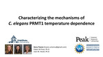 Characterizing the Mechanisms of <em>C. elegans</em> PRMT1 Temperature Dependence