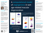 A Computational Model of Angiogenesis in Wet Age-Related Macular Degeneration by Brandon Pace