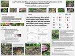 Log Proximity and Moss as Indicators of Conifer Seedling Abundance in Old-Growth Douglas-Fir/ Hemlock Forests by Isabella Wetzler
