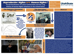 Reproductive Rights Are Human Rights! Forced Sterilization of Latino Communities and the Long Histroy of Human Rights Violations in the United States by Jenna Riches and Andria Araujo