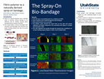The Spray-On Bio-Bandage