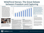 Wild/Feral Horses: the Great Debate Between Freedom and Capturing by Jolee Lamoreaux
