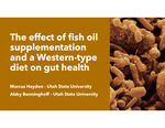 The Effect of Fish Oil Supplementation and a Western-Type Diet on Gut Health by Marcus Hayden