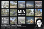 Urgency to Act Now by Mia Lehrer