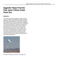 AggieAir Helps Find Fish When Yellow Creek Runs Dry by Utah Water Research Laboratory