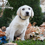 The Utah Statesman, November 27, 2023 by Utah State University