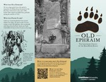 Old Ephraim Trifold Pamphlet: The Legendary Grizzly of the Bear River Range by Alyson Griggs, Clint Pumphrey, and Shay Larsen