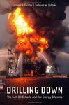 Drilling Down: The Gulf Oil Debacle and Our Energy Dilemma by Joseph Tainter and Tadeuz Patzek