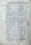 Four Books on Human Proportions. Image 3.