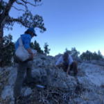 weinstein-sara.png by Utah State University